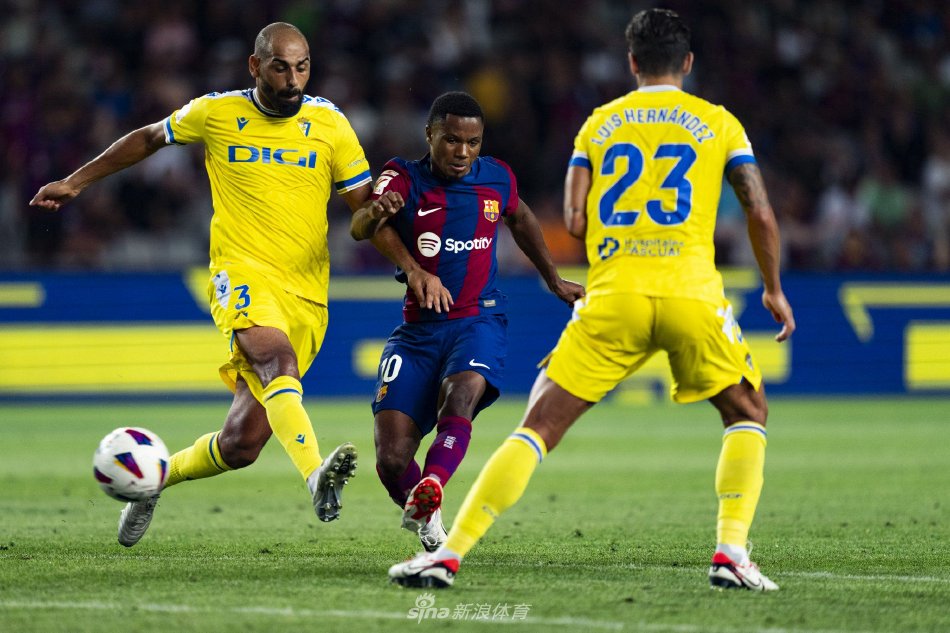 累月努力的 累月努力的